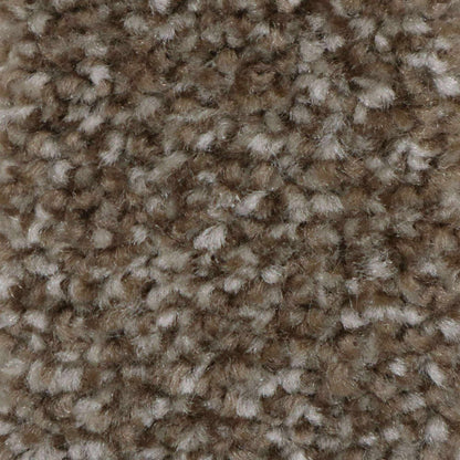Treasure-Twist-Super_Tourmaline_warm-mid-brown-taupe-with-rich-earthy-undertones-and-light-speckles_4m-wide-carpets_5m-wide-carpets_Vanguard_Carpet_Twist-Pile_Secondary-Backing_Felt-Back-Carpets_Polypropylene_9.5mm-Thick_850gsm-Total-Weight
