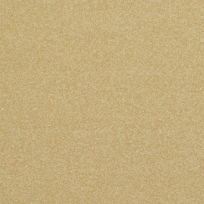 Pinnacle-Twist_Glorious-Gold_warm-golden-beige-with-subtle-sandy-mottled-twist-pile-texture_4m-wide-carpets_5m-wide-carpets_Vanguard_Carpet_Twist-Pile_Secondary-Backing_Polypropylene_11mm-Thick_1850gsm-Pile-Weight