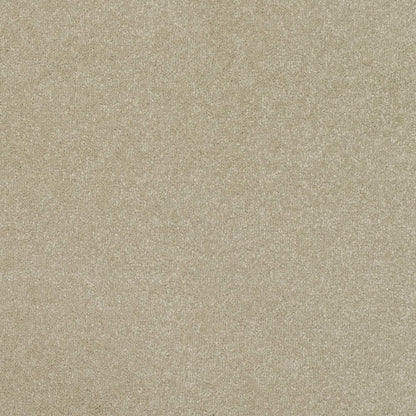 Pinnacle-Twist_Frosted-Dawn_light-warm-greige-with-subtle-cream-and-grey-mottled-twist-pile-texture_4m-wide-carpets_5m-wide-carpets_Vanguard_Carpet_Twist-Pile_Secondary-Backing_Polypropylene_11mm-Thick_1850gsm-Pile-Weight