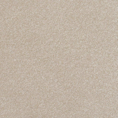 Pinnacle-Twist_Toasted-Marshmallow_pale-warm-beige-with-subtle-cream-and-taupe-mottled-twist-pile-texture_4m-wide-carpets_5m-wide-carpets_Vanguard_Carpet_Twist-Pile_Secondary-Backing_Polypropylene_11mm-Thick_1850gsm-Pile-Weight