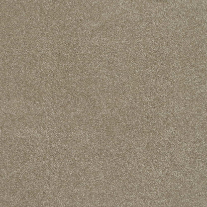 Pinnacle-Twist_Driftwood_medium-warm-taupe-brown-with-subtle-cream-mottled-twist-pile-texture_4m-wide-carpets_5m-wide-carpets_Vanguard_Carpet_Twist-Pile_Secondary-Backing_Polypropylene_11mm-Thick_1850gsm-Pile-Weight
