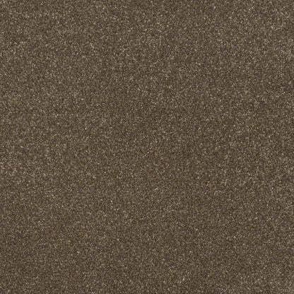 Pinnacle-Twist_Bear-Cub_deep-chocolate-brown-with-subtle-tan-mottled-twist-pile-texture_4m-wide-carpets_5m-wide-carpets_Vanguard_Carpet_Twist-Pile_Secondary-Backing_Polypropylene_11mm-Thick_1850gsm-Pile-Weight