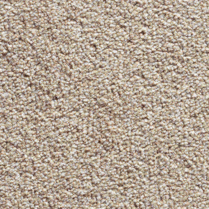 Eminence_Biscuit-75_warm-light-sandy-beige-with-soft-natural-flecked-undertones_4m-wide-carpets_5m-wide-carpets_Vanguard_Carpet_Cut-Pile_Secondary-Backing_Polypropylene_12mm-Thick_1150gsm-Total-Weight
