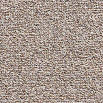 Eminence_Cookie-491_warm-mid-greige-taupe-with-soft-brown-flecked-undertones_4m-wide-carpets_5m-wide-carpets_Vanguard_Carpet_Cut-Pile_Secondary-Backing_Polypropylene_12mm-Thick_1150gsm-Total-Weight