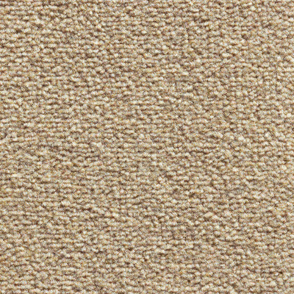 Eminence_Corn-450_warm-golden-wheat-beige-with-rich-earthy-flecked-undertones_4m-wide-carpets_5m-wide-carpets_Vanguard_Carpet_Cut-Pile_Secondary-Backing_Polypropylene_12mm-Thick_1150gsm-Total-Weight