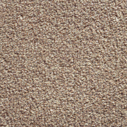 Eminence_Sepia-92_warm-rich-mid-brown-with-deep-earthy-flecked-undertones_4m-wide-carpets_5m-wide-carpets_Vanguard_Carpet_Cut-Pile_Secondary-Backing_Polypropylene_12mm-Thick_1150gsm-Total-Weight

