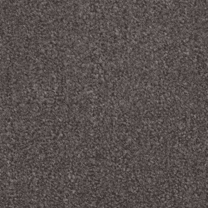 Galway_Truffle_deep-warm-brown-grey-with-rich-earthy-undertones_4m-wide-carpets_5m-wide-carpets_Vanguard_Carpet_Cut-Pile_Felt-Back-Carpets_Polypropylene_8mm-Thick_490gsm-Total-Weight