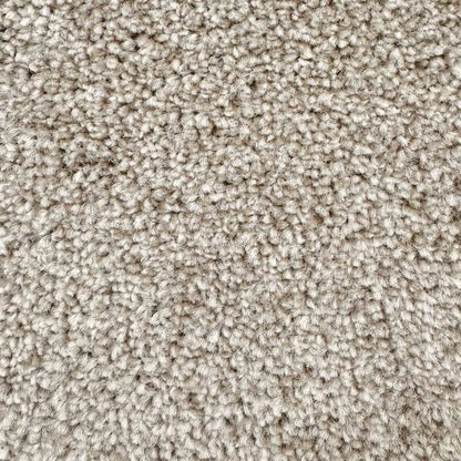 Sierra_Biscuit-Cream-69_soft-warm-creamy-beige-with-light-sandy-undertones_4m-wide-carpets_5m-wide-carpets_Vanguard_Carpet_Cut-Pile_Felt-Backing_Polypropylene_8.5mm-Thick_650gsm-Total-Weight

