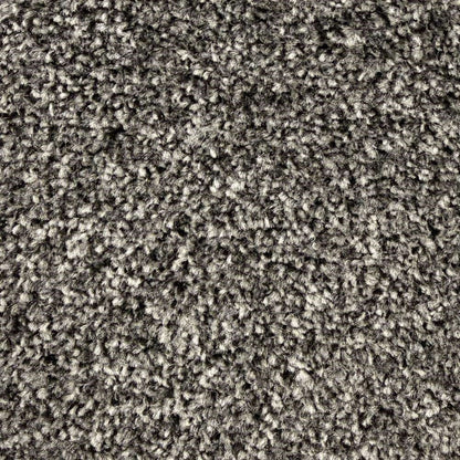 Sierra_Shadow-Whisper-77_deep-dark-near-black-charcoal-with-cool-grey-undertones_4m-wide-carpets_5m-wide-carpets_Vanguard_Carpet_Cut-Pile_Felt-Backing_Polypropylene_8.5mm-Thick_650gsm-Total-Weight