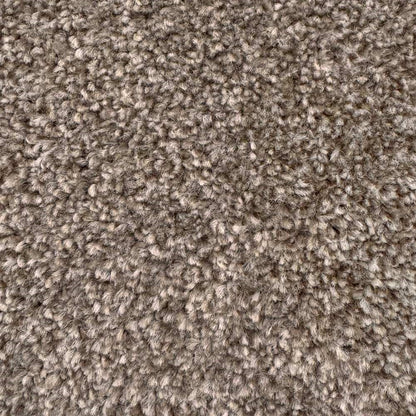 Sierra_Toasted-Almond-91_warm-mid-brown-taupe-with-earthy-toasted-undertones_4m-wide-carpets_5m-wide-carpets_Vanguard_Carpet_Cut-Pile_Felt-Backing_Polypropylene_8.5mm-Thick_650gsm-Total-Weight
