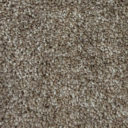 Sierra_Sandstone-Bliss-830_warm-light-sandy-beige-with-soft-natural-stone-undertones_4m-wide-carpets_5m-wide-carpets_Vanguard_Carpet_Cut-Pile_Felt-Backing_Polypropylene_8.5mm-Thick_650gsm-Total-Weight
