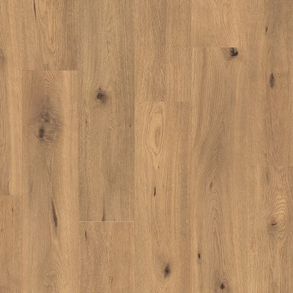 Forest Trail Laminate