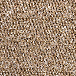 Mink Pastiche Loop 4315 Action Back Loop Pile Polypropylene Carpet Colour Sample Photo