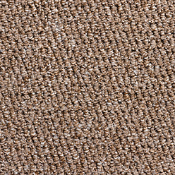 Oak Pastiche Loop 4316 Loop Pile Action Back Polypropylene Carpet Colour Sample Photo