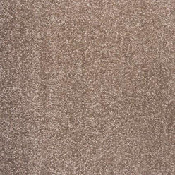 Dublin Loop Polypropylene Action or Felt Back Carpet in Ash