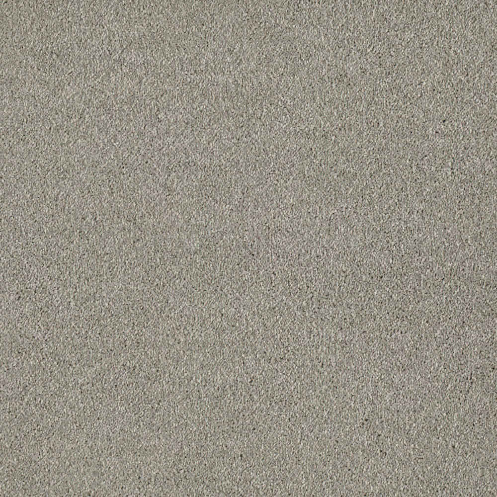 Sublime_Greige-720_warm-greige-taupe-with-subtle-fine-mottled-Saxony-pile-texture_4m-wide-carpets_5m-wide-carpets_Balta_Carpet_Saxony_Dual-Backing_Polypropylene_15mm-Thick_2975gsm-Pile-Weight