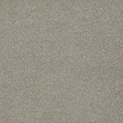 Sublime_Greige-720_warm-greige-taupe-with-subtle-fine-mottled-Saxony-pile-texture_4m-wide-carpets_5m-wide-carpets_Balta_Carpet_Saxony_Dual-Backing_Polypropylene_15mm-Thick_2975gsm-Pile-Weight