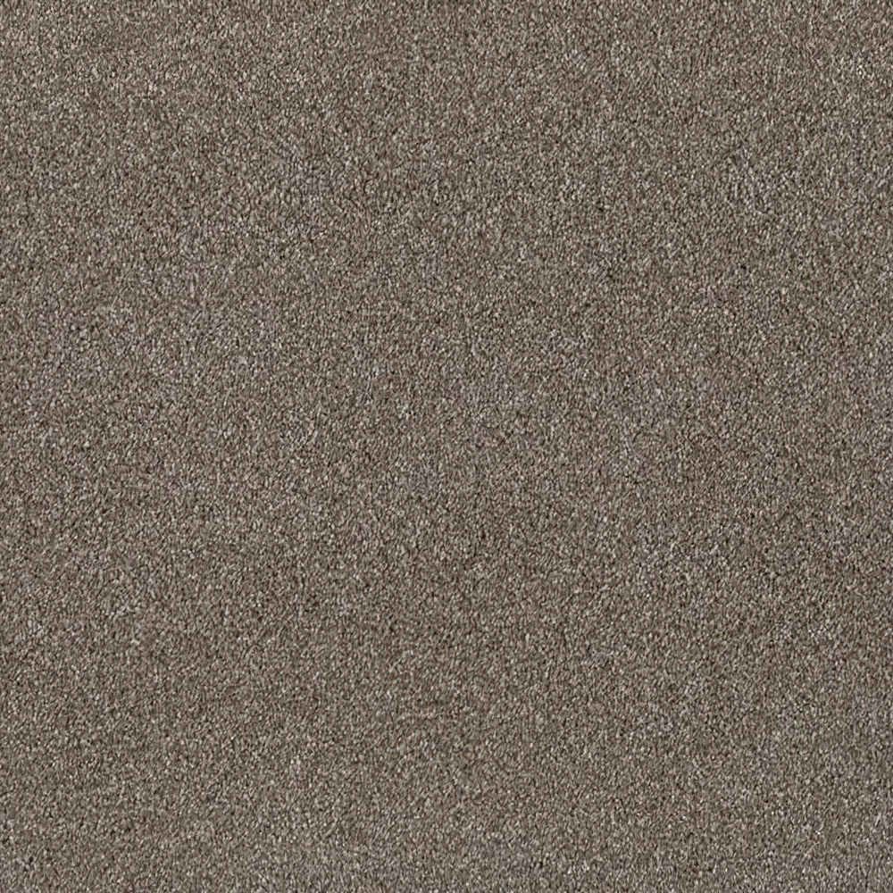 Sublime_Horse-Farm-800_medium-brown-taupe-with-fine-mottled-Saxony-pile-texture_4m-wide-carpets_5m-wide-carpets_Balta_Carpet_Saxony_Dual-Backing_Polypropylene_15mm-Thick_2975gsm-Pile-Weight