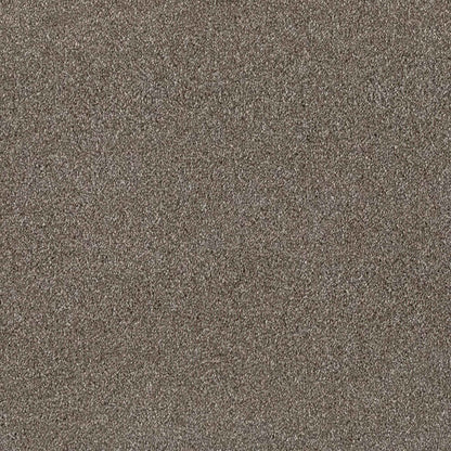 Sublime_Horse-Farm-800_medium-brown-taupe-with-fine-mottled-Saxony-pile-texture_4m-wide-carpets_5m-wide-carpets_Balta_Carpet_Saxony_Dual-Backing_Polypropylene_15mm-Thick_2975gsm-Pile-Weight