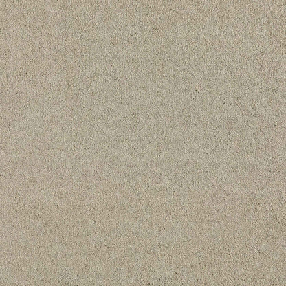 Sublime_Mocha-Cream-680_light-warm-beige-cream-with-subtle-pale-tan-mottled-Saxony-pile-texture_4m-wide-carpets_5m-wide-carpets_Balta_Carpet_Saxony_Dual-Backing_Polypropylene_15mm-Thick_2975gsm-Pile-Weight