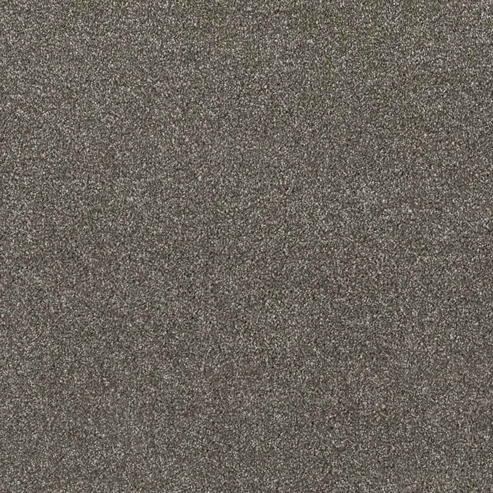 Sublime_Mudslide-850_dark-brown-charcoal-with-fine-lighter-brown-flecked-Saxony-pile-texture_4m-wide-carpets_5m-wide-carpets_Balta_Carpet_Saxony_Dual-Backing_Polypropylene_15mm-Thick_2975gsm-Pile-Weight