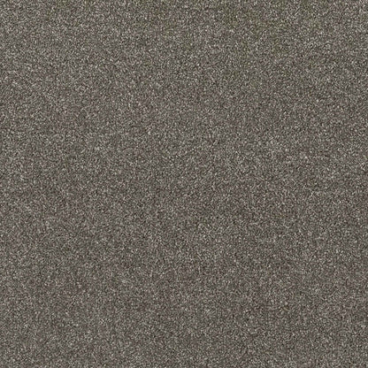 Sublime_Mudslide-850_dark-brown-charcoal-with-fine-lighter-brown-flecked-Saxony-pile-texture_4m-wide-carpets_5m-wide-carpets_Balta_Carpet_Saxony_Dual-Backing_Polypropylene_15mm-Thick_2975gsm-Pile-Weight