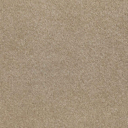 Sublime_Tropical-Sand-120_light-beige-tan-with-subtle-warm-tan-flecked-Saxony-pile-texture_4m-wide-carpets_5m-wide-carpets_Balta_Carpet_Saxony_Dual-Backing_Polypropylene_15mm-Thick_2975gsm-Pile-Weight