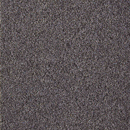 Dublin-Twist_Shadow_deep-cool-dark-grey-with-charcoal-undertones_4m-wide-carpets_5m-wide-carpets_Associated-Weavers_Carpet_Twist-Pile_Action-Back-Carpets_Felt-Back-Carpets_Polypropylene_7.5mm-Thick_490gsm-Total-Weight