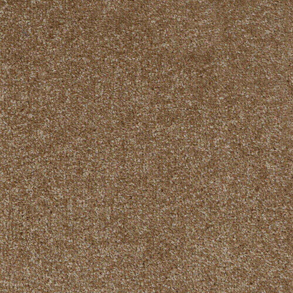 Dublin-Twist_Taupe_warm-mid-light-brown-with-earthy-beige-undertones_4m-wide-carpets_5m-wide-carpets_Associated-Weavers_Carpet_Twist-Pile_Action-Back-Carpets_Felt-Back-Carpets_Polypropylene_7.5mm-Thick_490gsm-Total-Weight