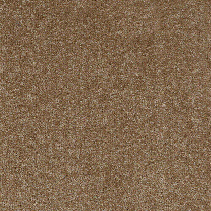 Dublin-Twist_Taupe_warm-mid-light-brown-with-earthy-beige-undertones_4m-wide-carpets_5m-wide-carpets_Associated-Weavers_Carpet_Twist-Pile_Action-Back-Carpets_Felt-Back-Carpets_Polypropylene_7.5mm-Thick_490gsm-Total-Weight