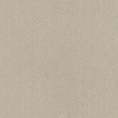 Decor_Biscuit-242_pale-warm-beige-with-tiny-cream-and-taupe-flecked-twist-pile-texture_4m-wide-carpets_5m-wide-carpets_Lano_Carpet_Twist-Pile_Secondary-Backing_Polypropylene_11mm-Thick_1280gsm-Pile-Weight