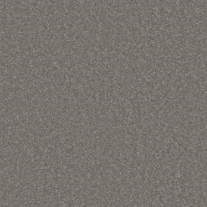 Decor_Greystone-842_medium-cool-grey-with-subtle-darker-grey-flecked-twist-pile-texture_4m-wide-carpets_5m-wide-carpets_Lano_Carpet_Twist-Pile_Secondary-Backing_Polypropylene_11mm-Thick_1280gsm-Pile-Weight