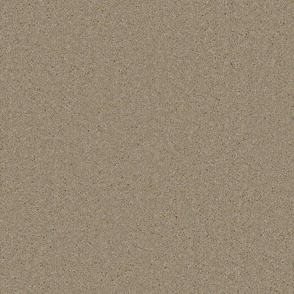 Decor_Hemp-462_warm-beige-taupe-with-fine-darker-beige-flecked-twist-pile-texture_4m-wide-carpets_5m-wide-carpets_Lano_Carpet_Twist-Pile_Secondary-Backing_Polypropylene_11mm-Thick_1280gsm-Pile-Weight