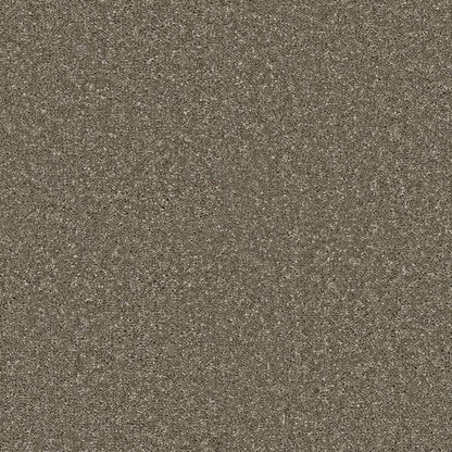 Decor_Limestone-272_medium-dark-taupe-brown-with-beige-and-dark-flecked-twist-pile-texture_4m-wide-carpets_5m-wide-carpets_Lano_Carpet_Twist-Pile_Secondary-Backing_Polypropylene_11mm-Thick_1280gsm-Pile-Weight