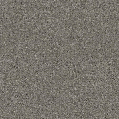 Decor_Paloma-862_medium-warm-grey-taupe-with-fine-darker-and-pale-flecked-twist-pile-texture_4m-wide-carpets_5m-wide-carpets_Lano_Carpet_Twist-Pile_Secondary-Backing_Polypropylene_11mm-Thick_1280gsm-Pile-Weight