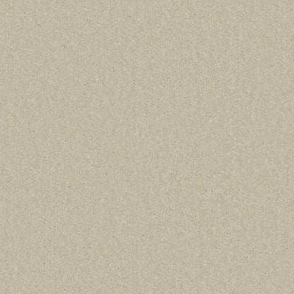 Decor_Seashore-244_pale-warm-cream-beige-with-very-subtle-tan-flecked-twist-pile-texture_4m-wide-carpets_5m-wide-carpets_Lano_Carpet_Twist-Pile_Secondary-Backing_Polypropylene_11mm-Thick_1280gsm-Pile-Weight