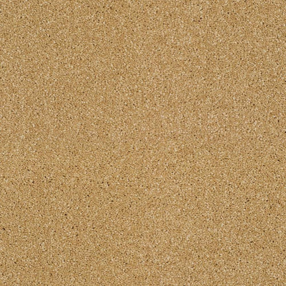 Heather-Twist-Supreme_Cane-381_warm-golden-tan-with-darker-tan-flecked-twist-pile-texture_4m-wide-carpets_5m-wide-carpets_Lano_Carpet_Twist-Pile_Dual-Backing_Polypropylene_10mm-Thick_1360gsm-Pile-Weight