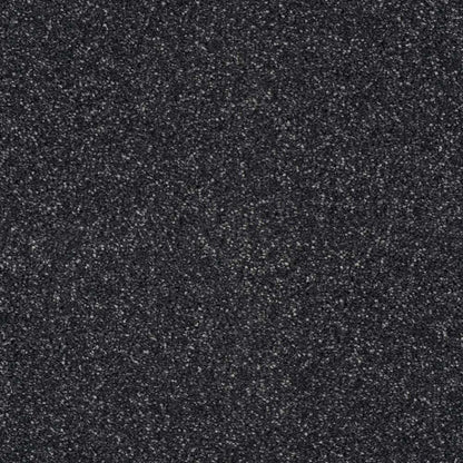 Heather-Twist-Supreme_Cyberspace-809_near-black-charcoal-with-light-grey-flecked-twist-pile-texture_4m-wide-carpets_5m-wide-carpets_Lano_Carpet_Twist-Pile_Dual-Backing_Polypropylene_10mm-Thick_1360gsm-Pile-Weight