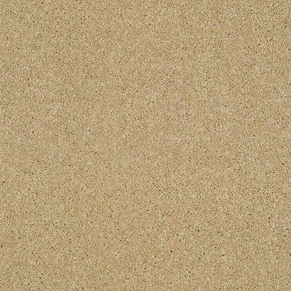 Heather-Twist-Supreme_Light-Honey-451_warm-pale-golden-beige-with-darker-tan-flecked-twist-pile-texture_4m-wide-carpets_5m-wide-carpets_Lano_Carpet_Twist-Pile_Dual-Backing_Polypropylene_10mm-Thick_1360gsm-Pile-Weight