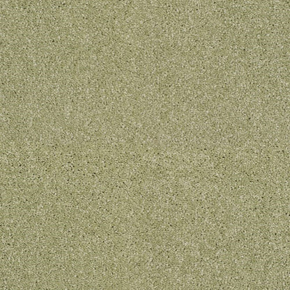 Heather-Twist-Supreme_Lily-Pad-551_muted-olive-green-with-darker-green-and-beige-flecked-twist-pile-texture_4m-wide-carpets_5m-wide-carpets_Lano_Carpet_Twist-Pile_Dual-Backing_Polypropylene_10mm-Thick_1360gsm-Pile-Weight