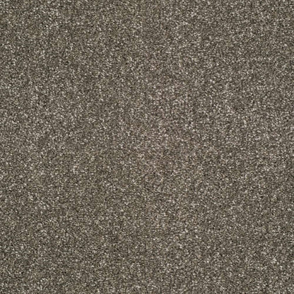 Heather-Twist-Supreme_Titanium-883_medium-dark-warm-grey-taupe-with-cream-and-dark-flecked-twist-pile-texture_4m-wide-carpets_5m-wide-carpets_Lano_Carpet_Twist-Pile_Dual-Backing_Polypropylene_10mm-Thick_1360gsm-Pile-Weight