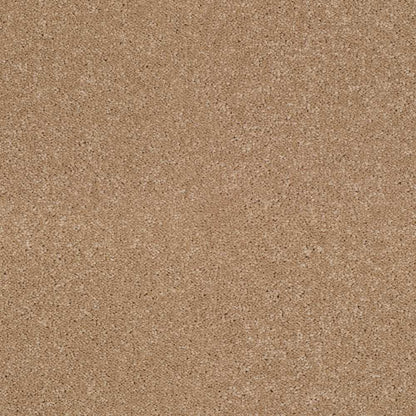 Star-Twist-Elite_Almond-270_medium-warm-tan-beige-with-cream-and-tan-flecked-twist-pile-texture_4m-wide-carpets_5m-wide-carpets_Lano_Carpet_Twist-Pile_Dual-Backing_Polypropylene_12mm-Thick_1700gsm-Pile-Weight