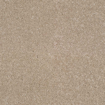 Star-Twist-Elite_Alpaca-433_light-beige-grey-with-soft-grey-and-tan-flecked-twist-pile-texture_4m-wide-carpets_5m-wide-carpets_Lano_Carpet_Twist-Pile_Dual-Backing_Polypropylene_12mm-Thick_1700gsm-Pile-Weight