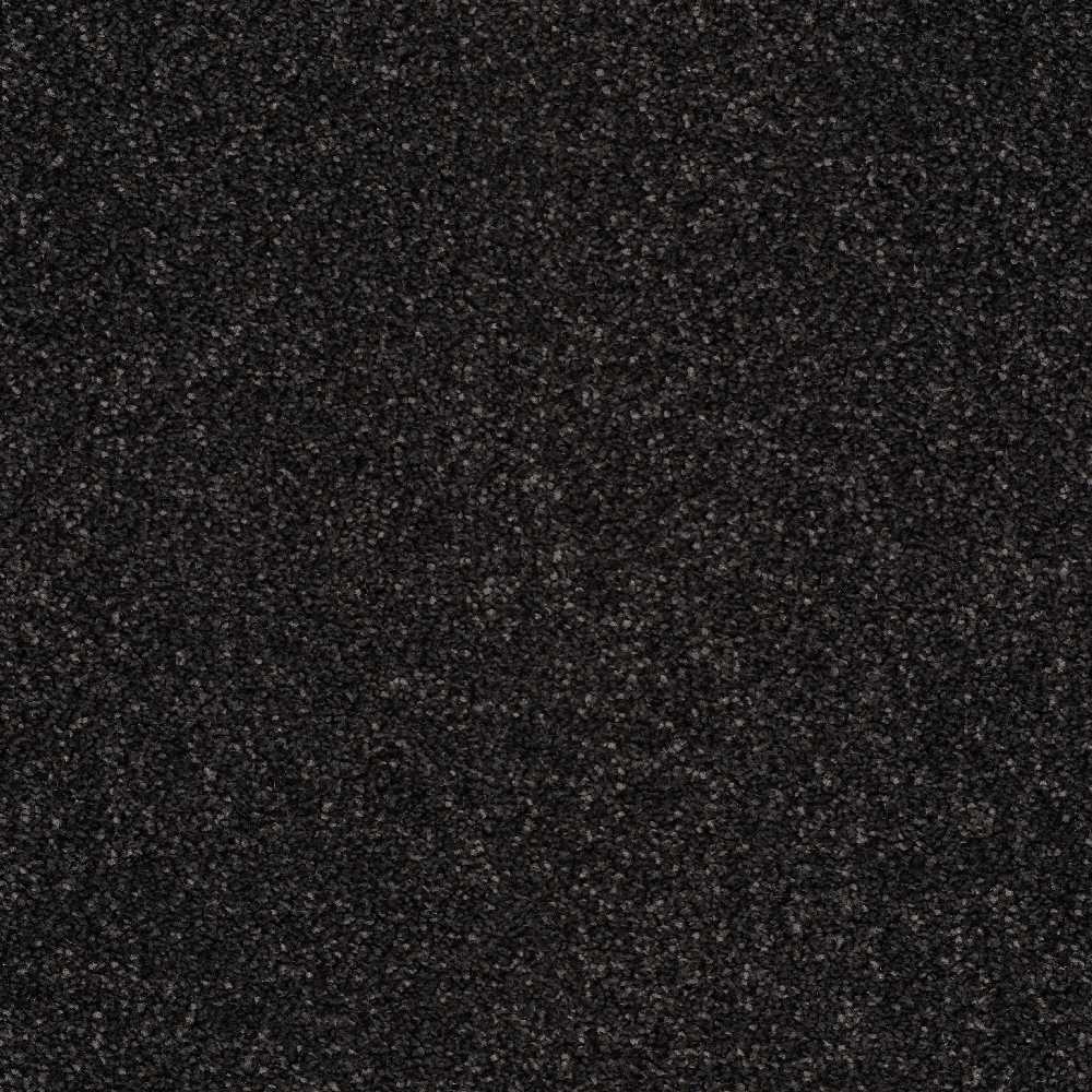 Star-Twist-Elite_Caviar-805_near-black-charcoal-with-subtle-grey-flecked-twist-pile-texture_4m-wide-carpets_5m-wide-carpets_Lano_Carpet_Twist-Pile_Dual-Backing_Polypropylene_12mm-Thick_1700gsm-Pile-Weight