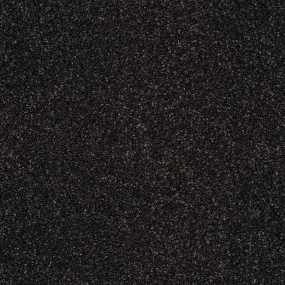 Star-Twist-Elite_Caviar-805_near-black-charcoal-with-subtle-grey-flecked-twist-pile-texture_4m-wide-carpets_5m-wide-carpets_Lano_Carpet_Twist-Pile_Dual-Backing_Polypropylene_12mm-Thick_1700gsm-Pile-Weight