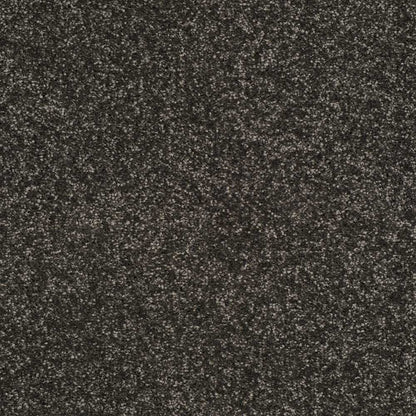 Star-Twist-Elite_Moonbeam-850_dark-charcoal-brown-with-light-grey-and-tan-flecked-twist-pile-texture_4m-wide-carpets_5m-wide-carpets_Lano_Carpet_Twist-Pile_Dual-Backing_Polypropylene_12mm-Thick_1700gsm-Pile-Weight