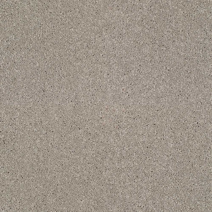 Star-Twist-Elite_Paloma-862_warm-light-taupe-grey-with-soft-brown-and-pale-flecked-twist-pile-texture_4m-wide-carpets_5m-wide-carpets_Lano_Carpet_Twist-Pile_Dual-Backing_Polypropylene_12mm-Thick_1700gsm-Pile-Weight