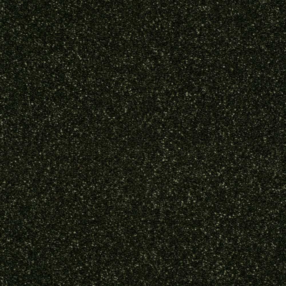 Star-Twist-Elite_Shamrock-591_near-black-green-with-light-grey-and-green-flecked-twist-pile-texture_4m-wide-carpets_5m-wide-carpets_Lano_Carpet_Twist-Pile_Dual-Backing_Polypropylene_12mm-Thick_1700gsm-Pile-Weight