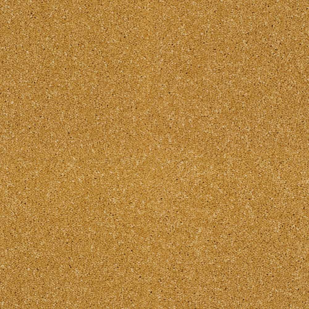 Star-Twist-Elite_Torchlight-373_rich-golden-mustard-tan-with-darker-tan-flecked-twist-pile-texture_4m-wide-carpets_5m-wide-carpets_Lano_Carpet_Twist-Pile_Dual-Backing_Polypropylene_12mm-Thick_1700gsm-Pile-Weight