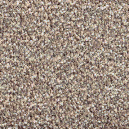 Solstice_Cocoa_warm-taupe-brown-with-mid-brown-and-cream-flecked-twist-pile-texture_4m-wide-carpets_5m-wide-carpets_Vanguard_Carpet_Twist-Pile_Dual-Back_Polypropylene_13.5mm-Thick_1760gsm-Total-Weight